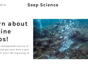 Bubbleology Research International launches “seepscience.com”, an educational website on seeps