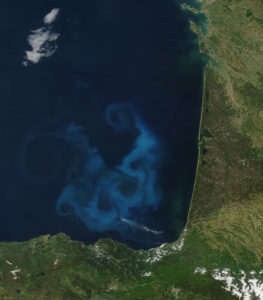 Phytoplankton bloom in the Bay of Biscay (from a NASA satellite.)